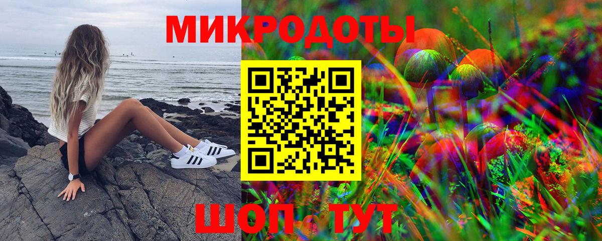 Псилоцибиновые грибы Cubensis Кинель