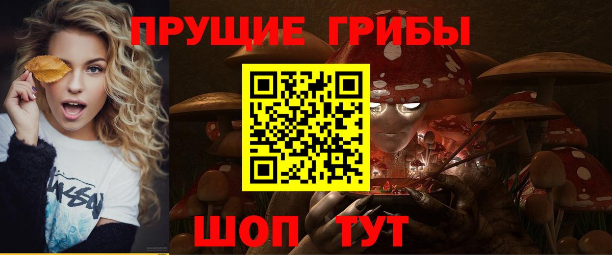 Псилоцибиновые грибы Psilocybine cubensis  Вход с VPN  Кинель 